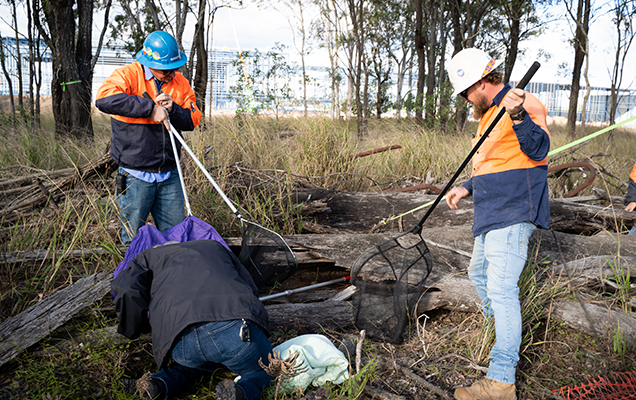 RSPCA rescuers attempting to rescue the dog